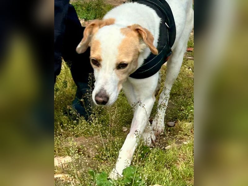 Bimba, schon ziemlich eigenständig