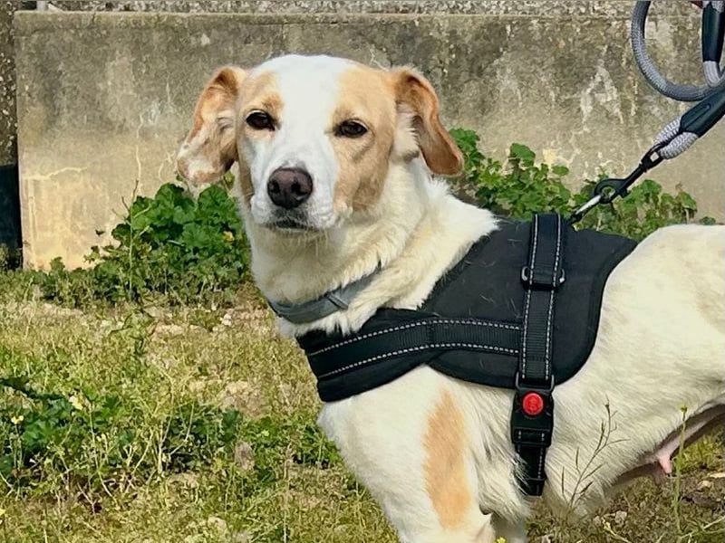 Bimba, schon ziemlich eigenständig