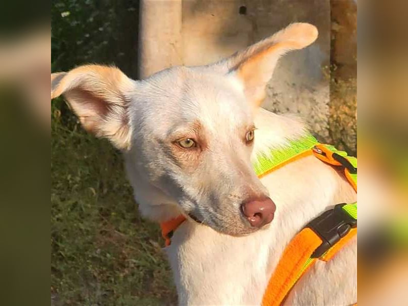 Alberto, etwas zurück geworfen