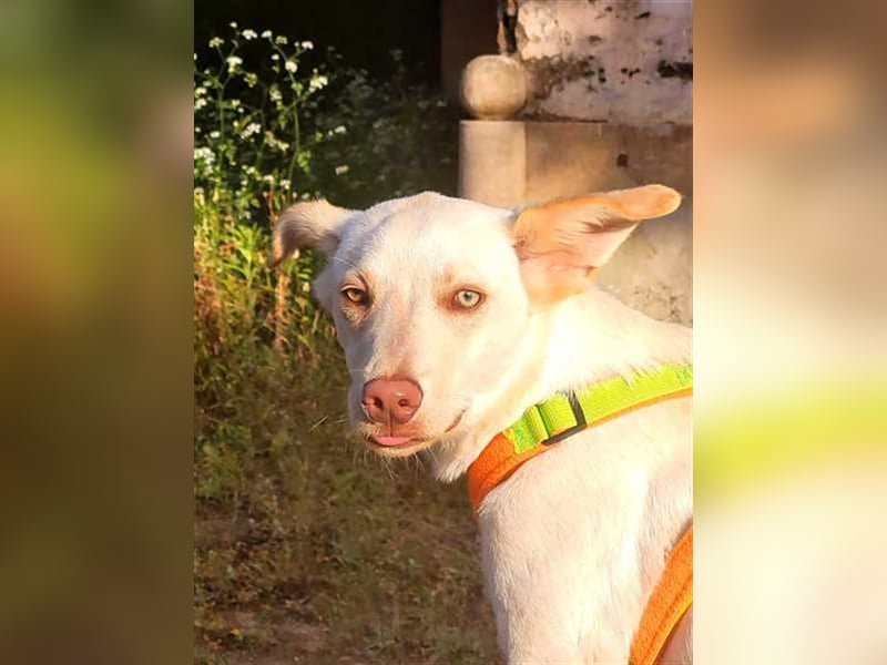 Alberto, etwas zurück geworfen