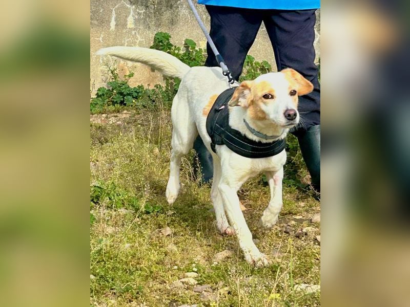 Bimba, schon ziemlich eigenständig
