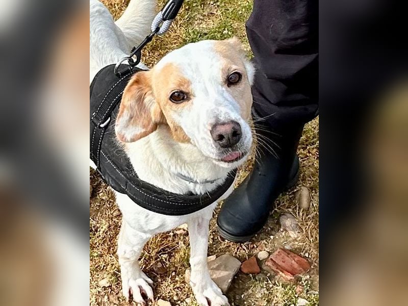 Bimba, schon ziemlich eigenständig