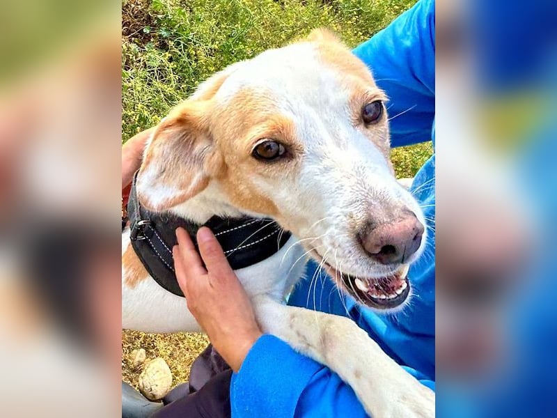 Bimba, schon ziemlich eigenständig