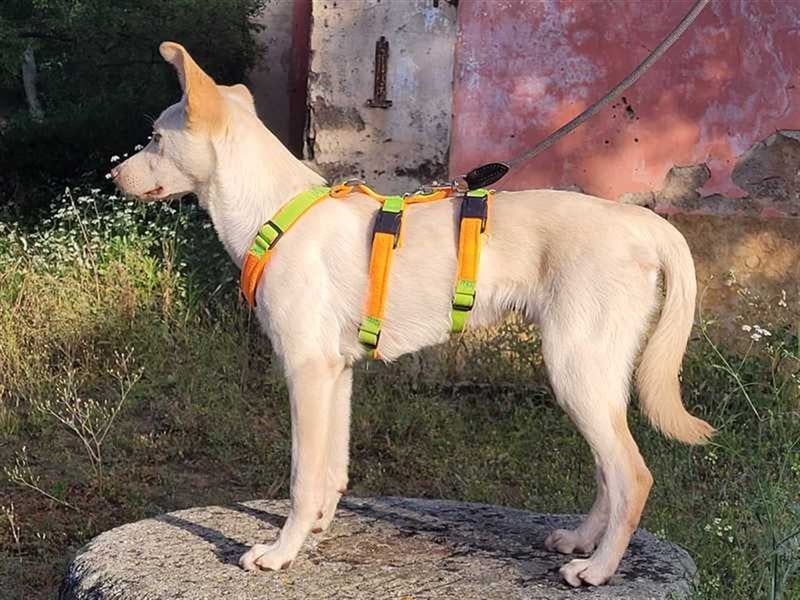 Alberto, etwas zurück geworfen