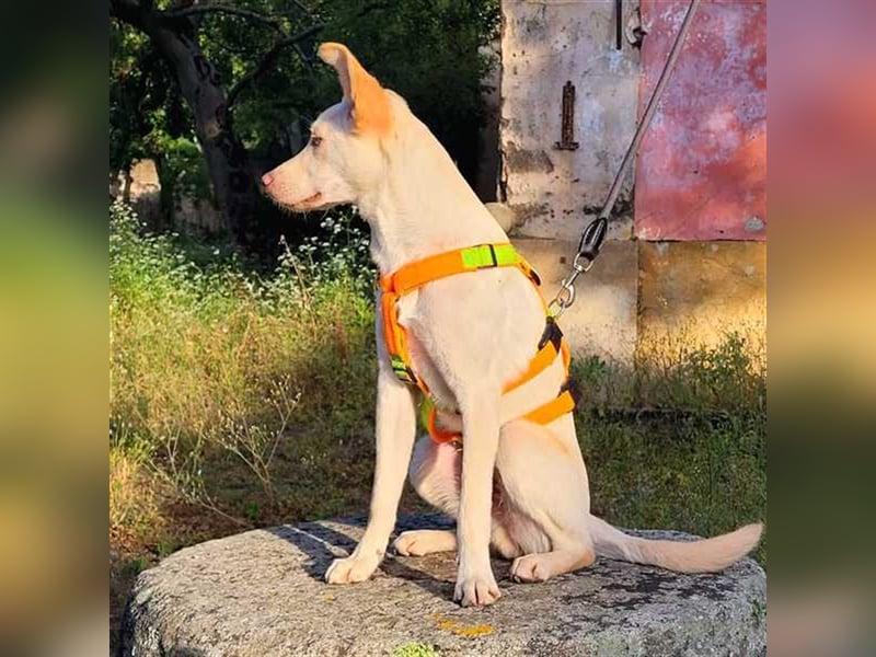 Alberto, etwas zurück geworfen