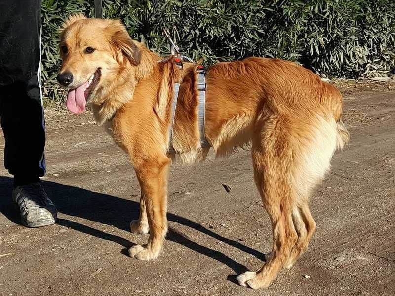 Otschi, noch ausbaufähig