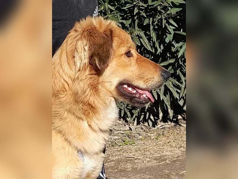 Otschi, noch ausbaufähig