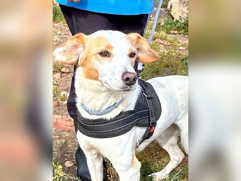 Bimba, schon ziemlich eigenständig