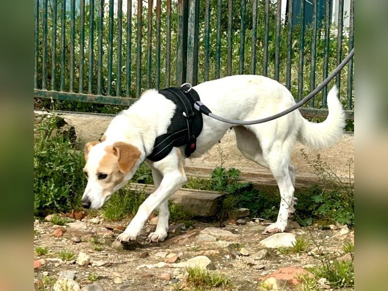 Bimba, schon ziemlich eigenständig