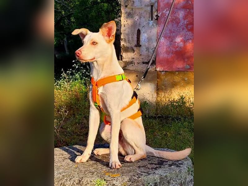 Alberto, etwas zurück geworfen