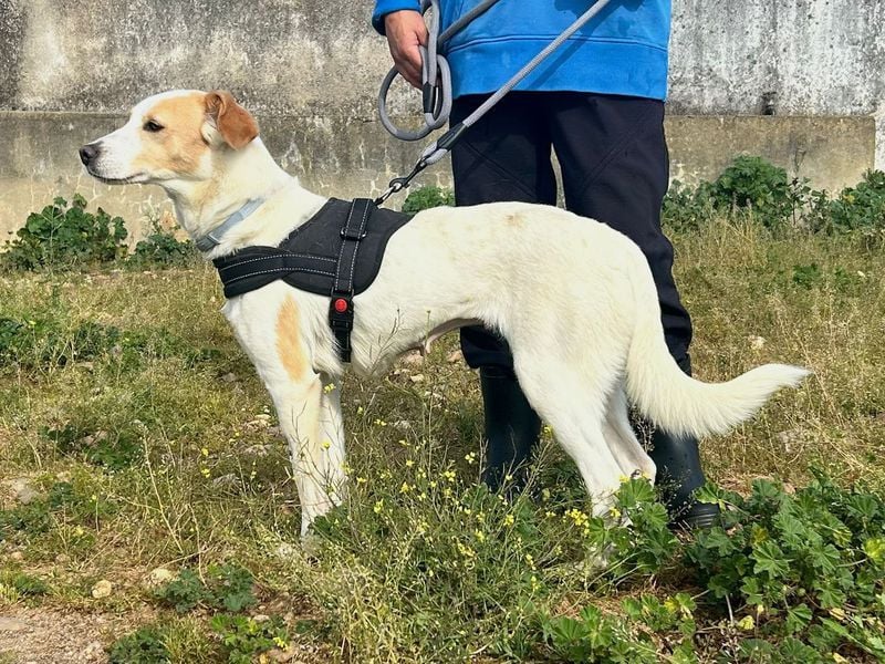Bimba, schon ziemlich eigenständig
