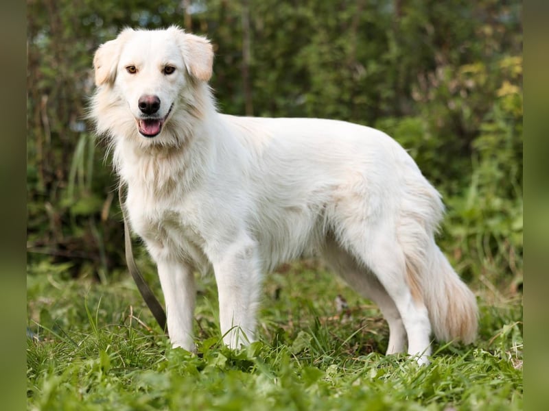 Olivia, geb. 04/2024, junge Schönheit sucht ihr Glück