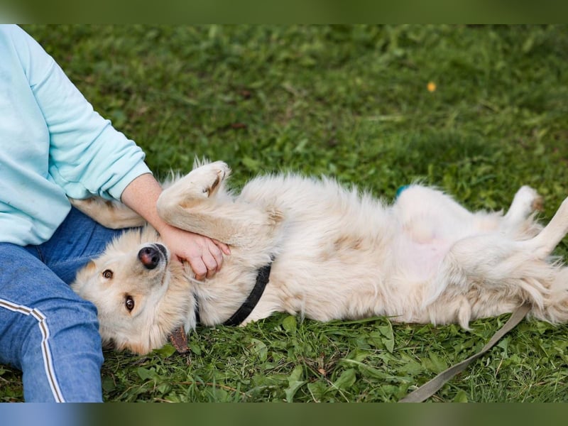 Oliver, geb. 04/2024, Sofa gesucht: Bewohner Oliver bringt viel Liebe mit