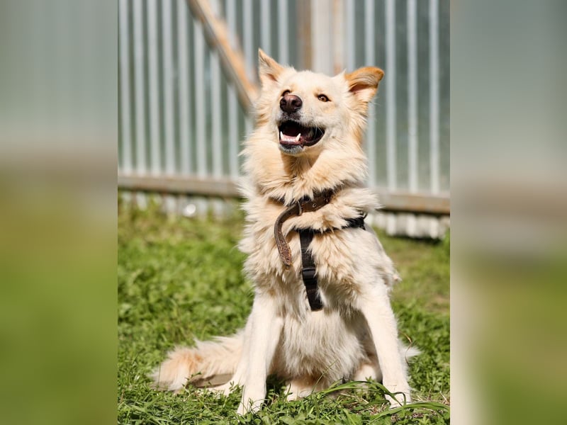 Oliver, geb. 04/2024, Sofa gesucht: Bewohner Oliver bringt viel Liebe mit