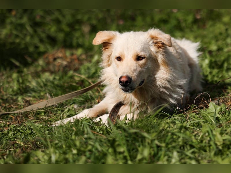 Oliver, geb. 04/2024, Sofa gesucht: Bewohner Oliver bringt viel Liebe mit