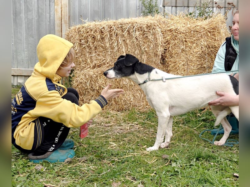 KIRA, geb. 03/2023, aktive Hündin sucht ihr Glück