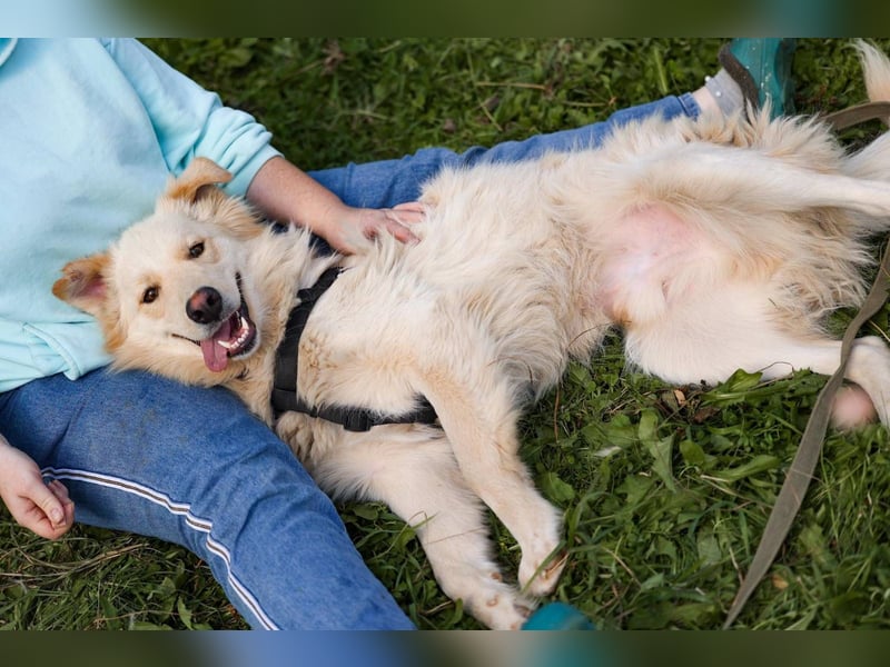 Oliver, geb. 04/2024, Sofa gesucht: Bewohner Oliver bringt viel Liebe mit