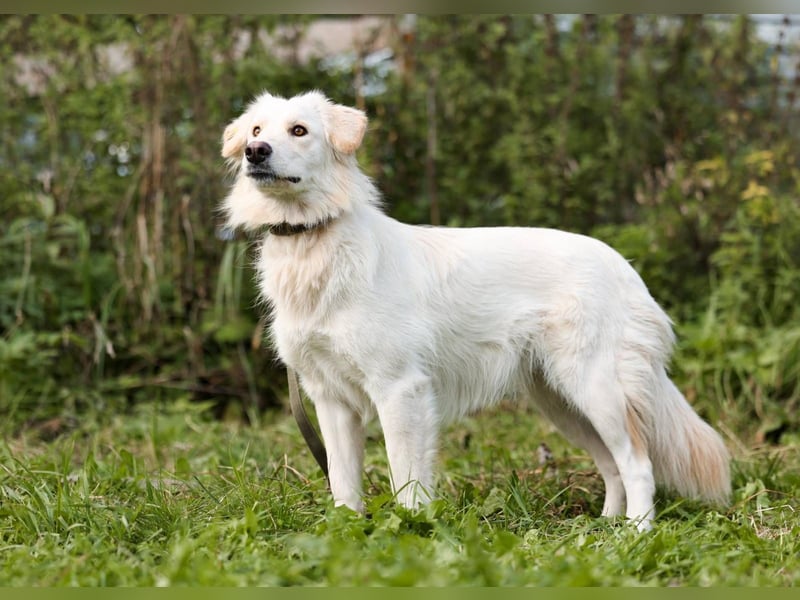 Olivia, geb. 04/2024, junge Schönheit sucht ihr Glück