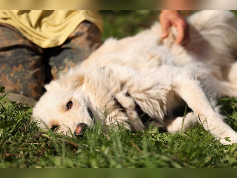 Oliver, geb. 04/2024, Sofa gesucht: Bewohner Oliver bringt viel Liebe mit