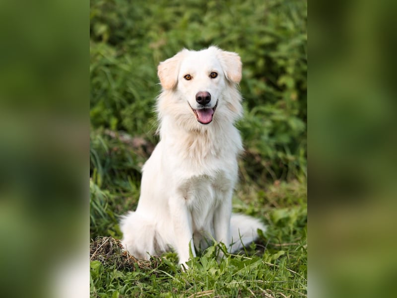 Olivia, geb. 04/2024, junge Schönheit sucht ihr Glück