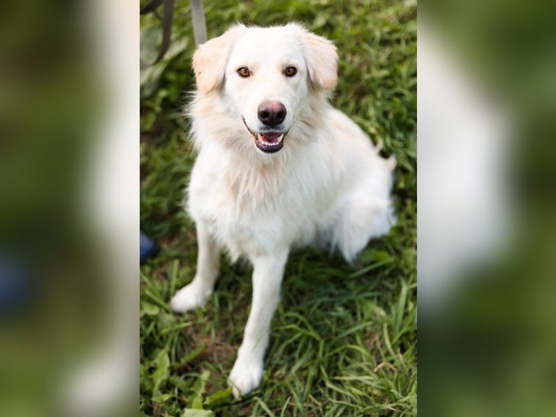 Olivia, geb. 04/2024, junge Schönheit sucht ihr Glück