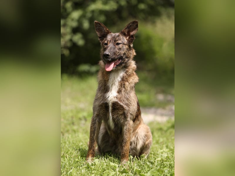 YUMA, *geb. 08/2024 - wunderschönes Mädchen sitzt schon auf gepacktem Koffer