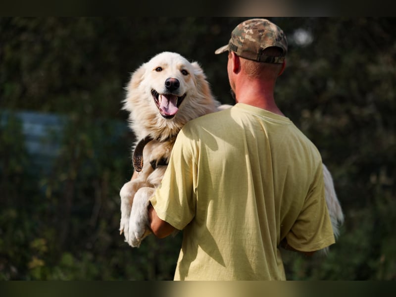 Oliver, geb. 04/2024, Sofa gesucht: Bewohner Oliver bringt viel Liebe mit