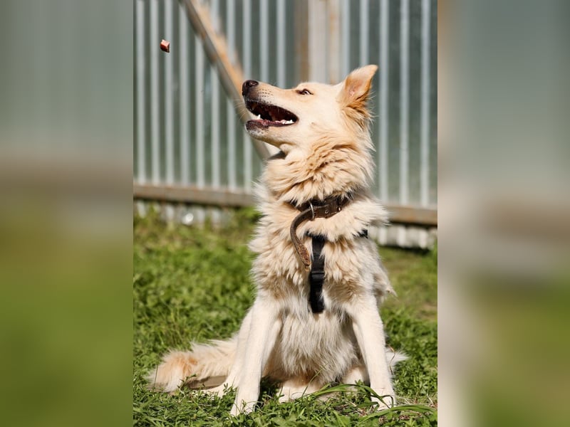 Oliver, geb. 04/2024, Sofa gesucht: Bewohner Oliver bringt viel Liebe mit