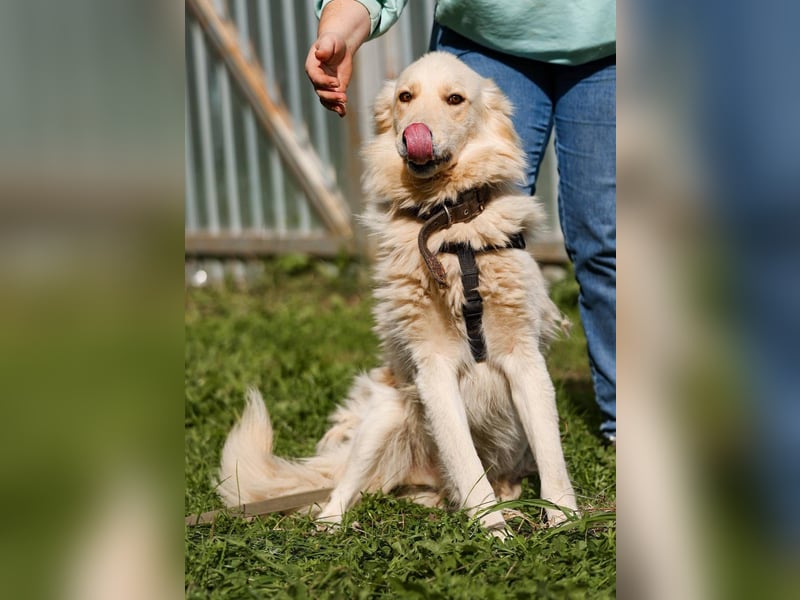 Oliver, geb. 04/2024, Sofa gesucht: Bewohner Oliver bringt viel Liebe mit