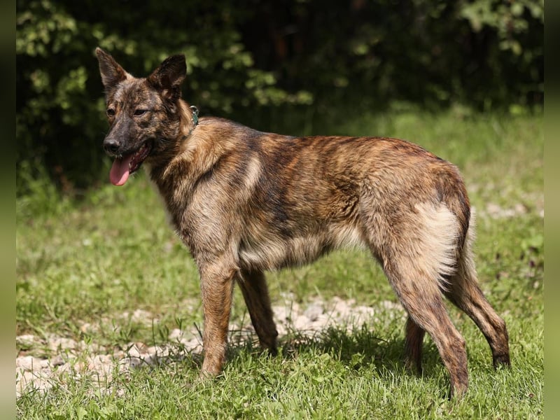 YUMA, *geb. 08/2024 - wunderschönes Mädchen sitzt schon auf gepacktem Koffer