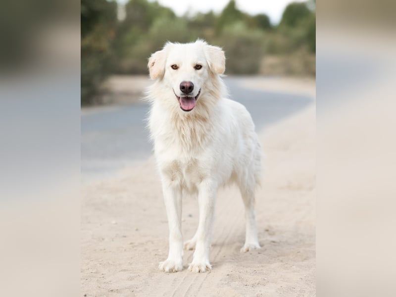 Olivia, geb. 04/2024, junge Schönheit sucht ihr Glück