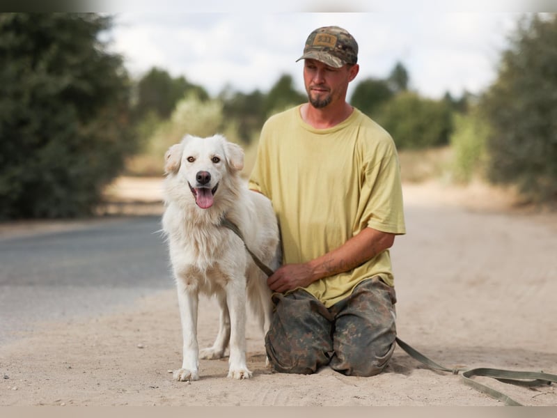 Olivia, geb. 04/2024, junge Schönheit sucht ihr Glück