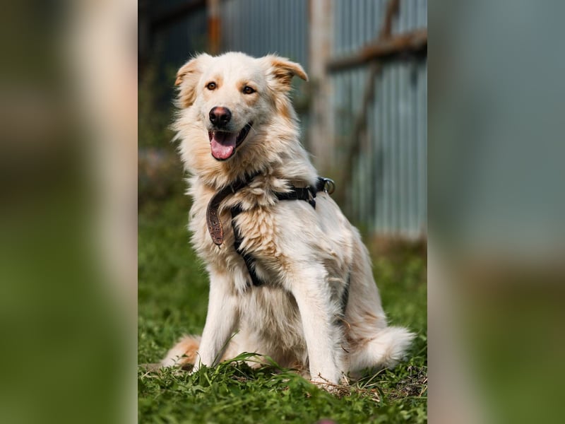 Oliver, geb. 04/2024, Sofa gesucht: Bewohner Oliver bringt viel Liebe mit