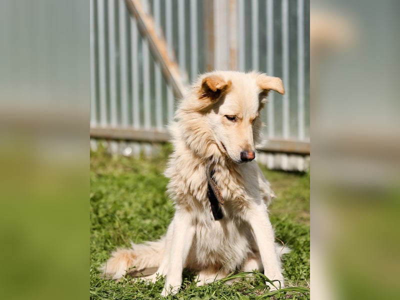 Oliver, geb. 04/2024, Sofa gesucht: Bewohner Oliver bringt viel Liebe mit