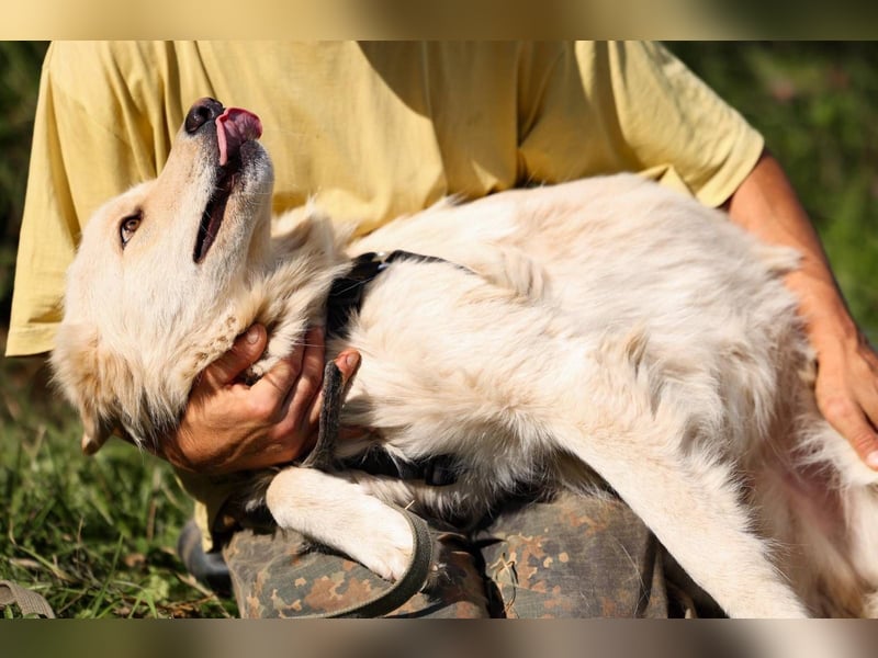 Oliver, geb. 04/2024, Sofa gesucht: Bewohner Oliver bringt viel Liebe mit