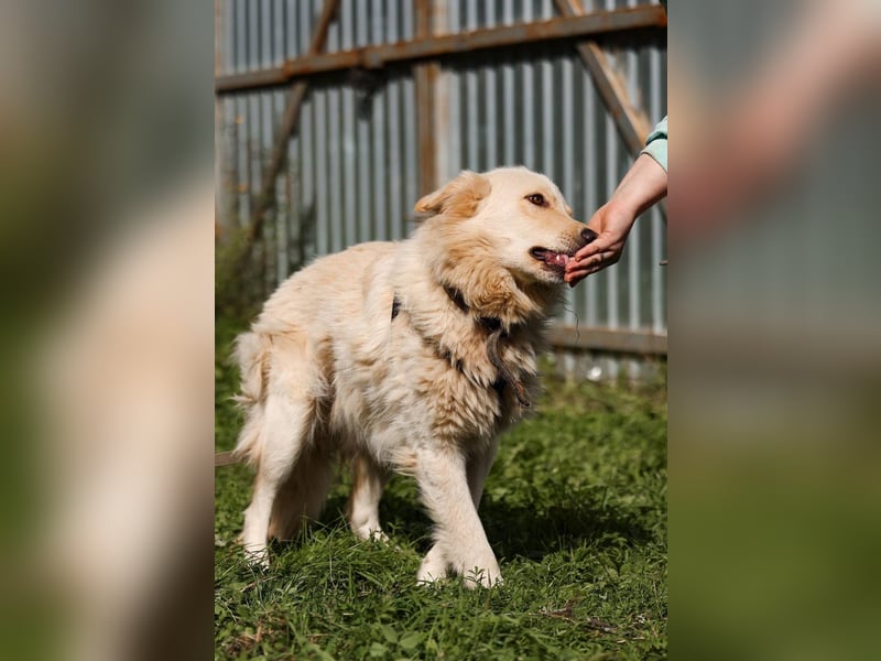 Oliver, geb. 04/2024, Sofa gesucht: Bewohner Oliver bringt viel Liebe mit