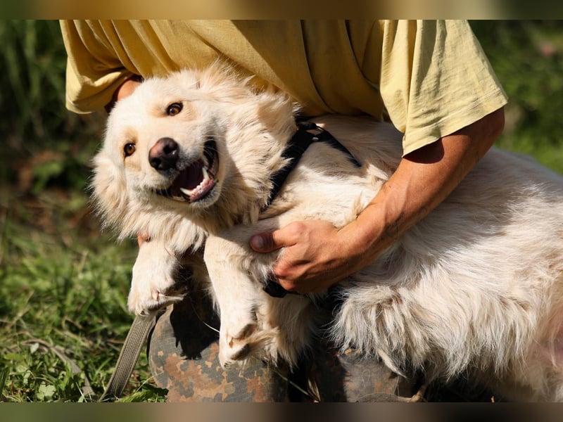 Oliver, geb. 04/2024, Sofa gesucht: Bewohner Oliver bringt viel Liebe mit