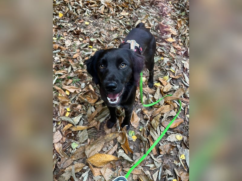 Fredi auf der Suche auf einer Endstelle