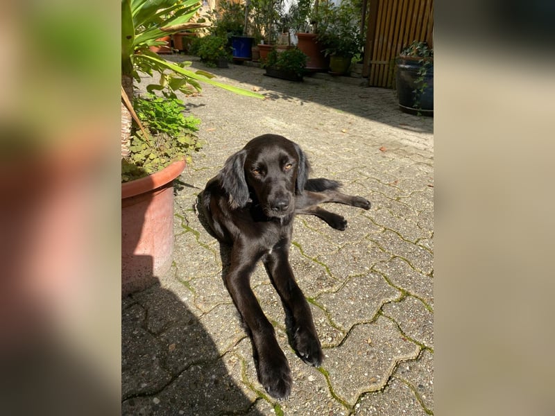 Fredi auf der Suche auf einer Endstelle