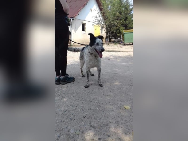 ●ANOUK● [1-2 Jahre, 50 cm]