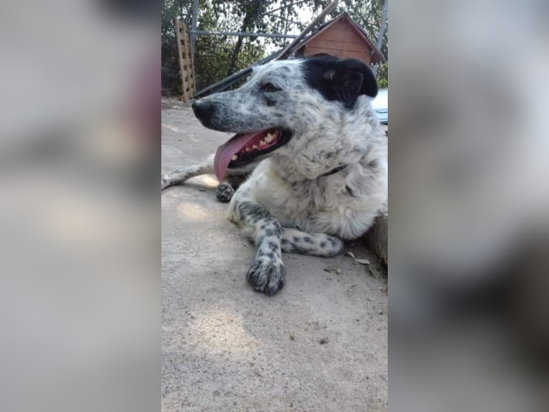 ●ANOUK● [1-2 Jahre, 50 cm]