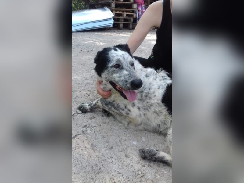 ●ANOUK● [1-2 Jahre, 50 cm]