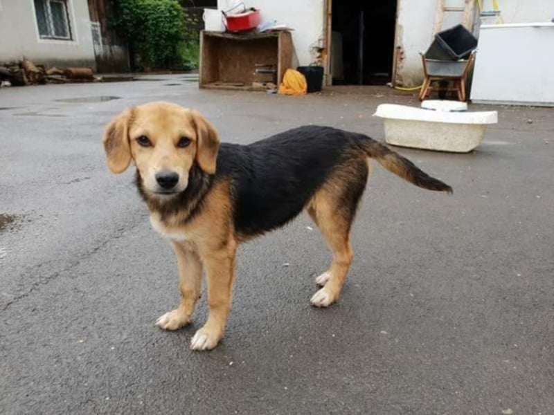 ●FRIEDA● [ 8 Monate, 40 cm ]