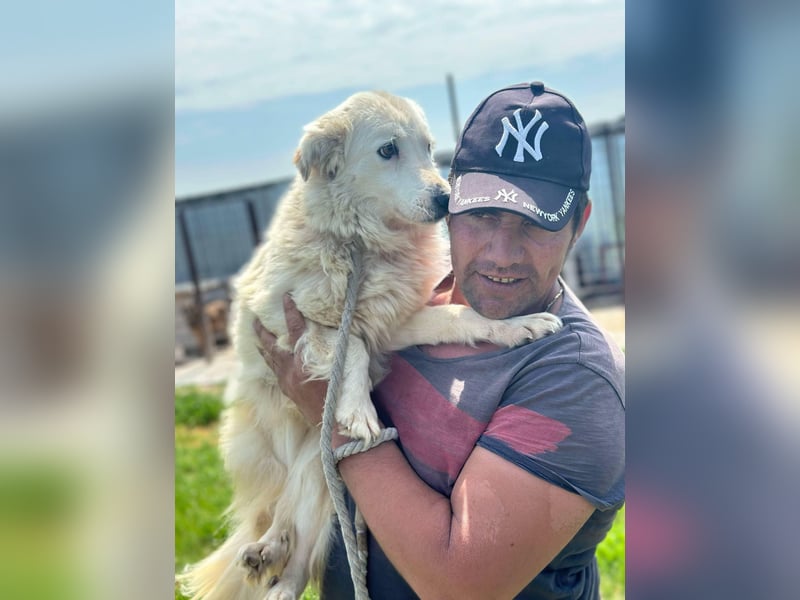 MIA – Mama, Kämpferin, Kuschelhund 