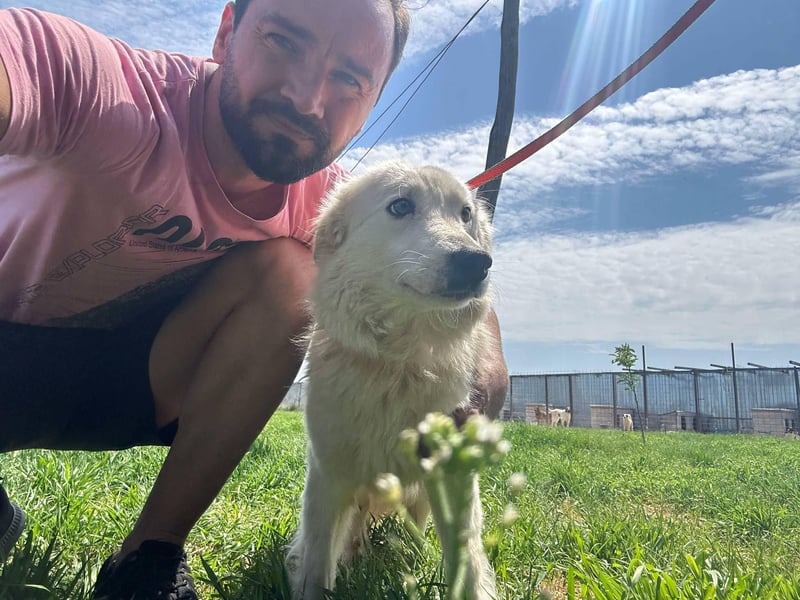 MIA – Mama, Kämpferin, Kuschelhund 