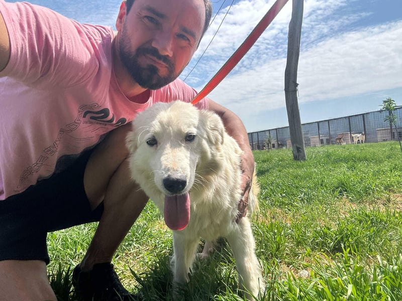 MIA – Mama, Kämpferin, Kuschelhund 