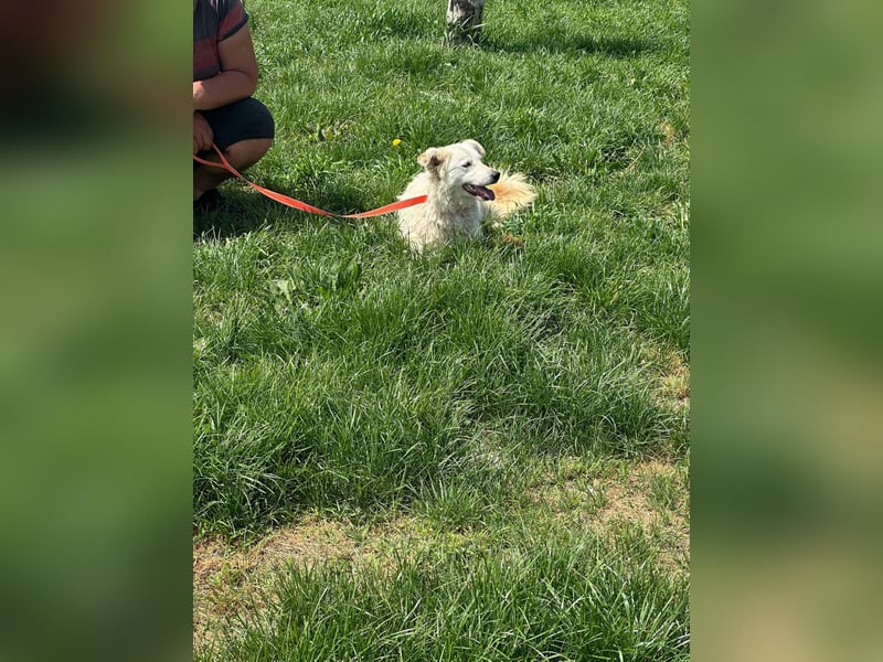 MIA – Mama, Kämpferin, Kuschelhund 