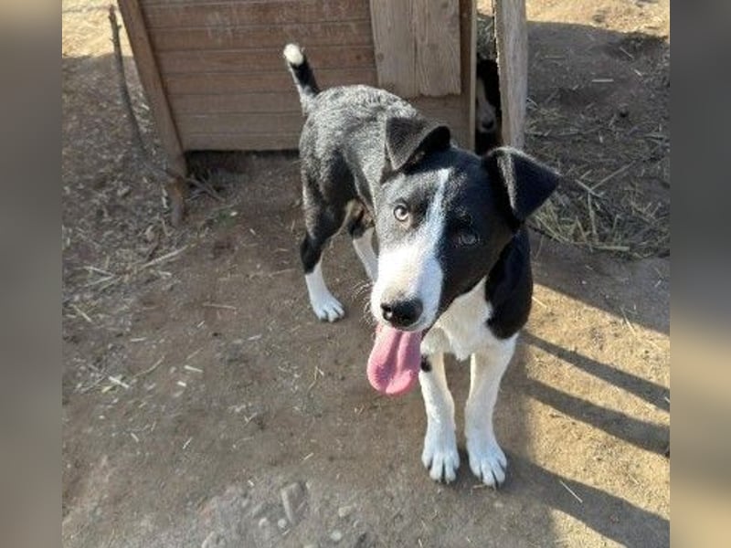 Cash - aufgeschlossen & stets freundlich