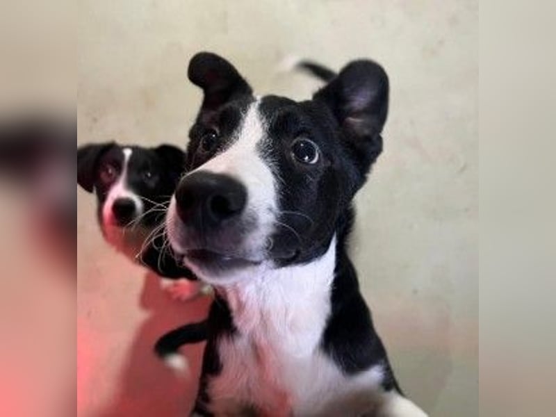 Cash - aufgeschlossen & stets freundlich