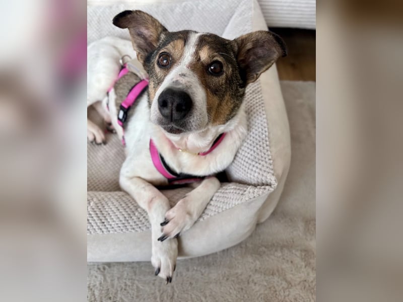 Princess, süße Maus wartet auf ihre Herzensmenschen